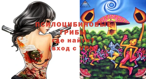 прущий лед Семилуки