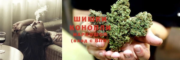 гидра Алексеевка