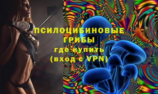 гидра Алексеевка
